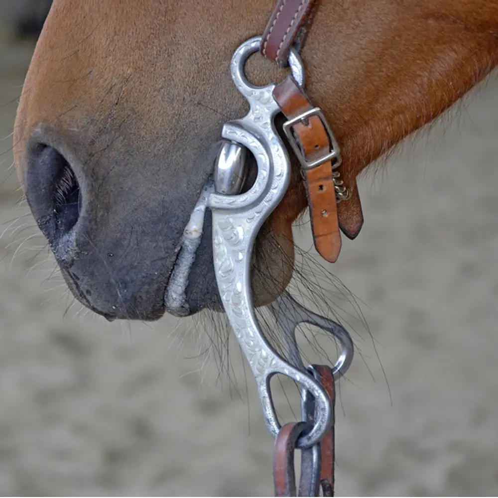 Equestrian Metal